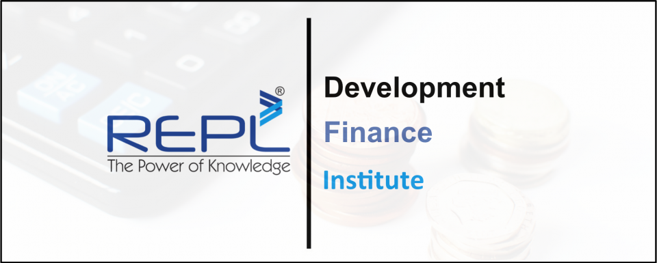 Development Finance Institute